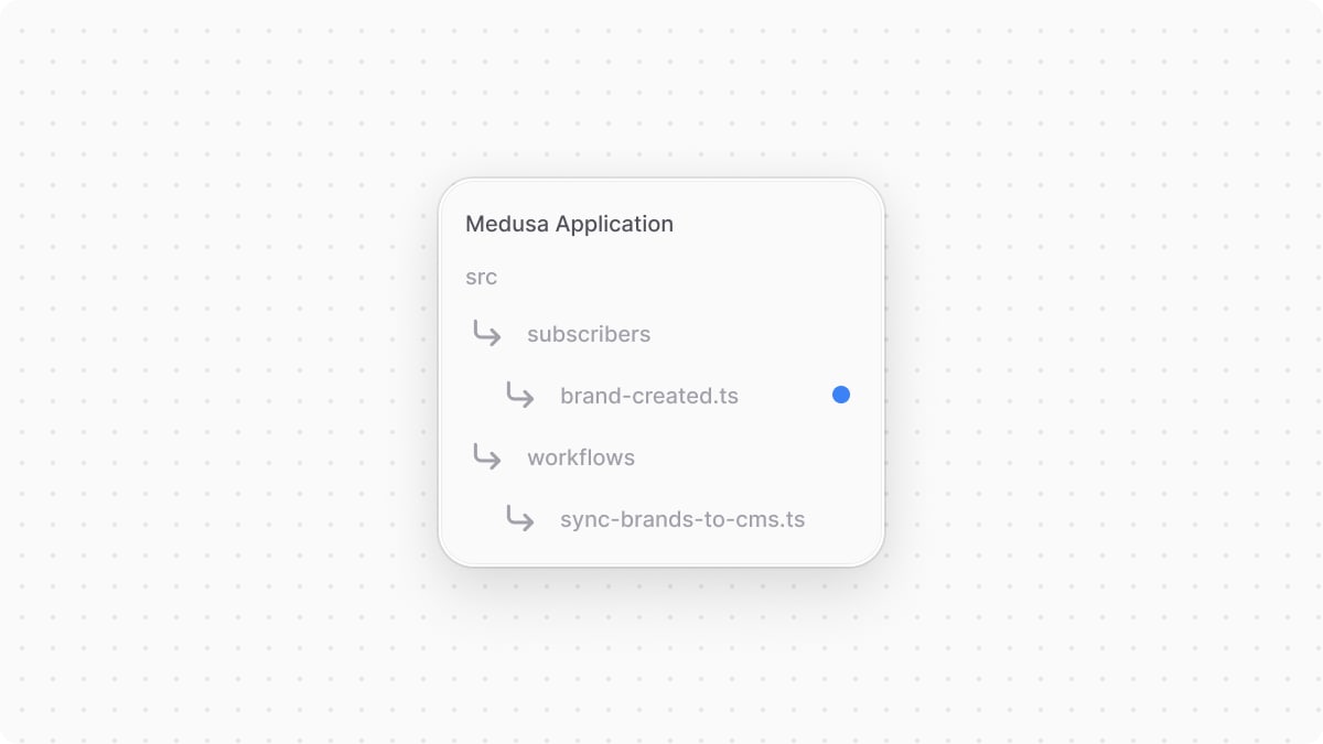 Directory structure of the Medusa application after adding the subscriber